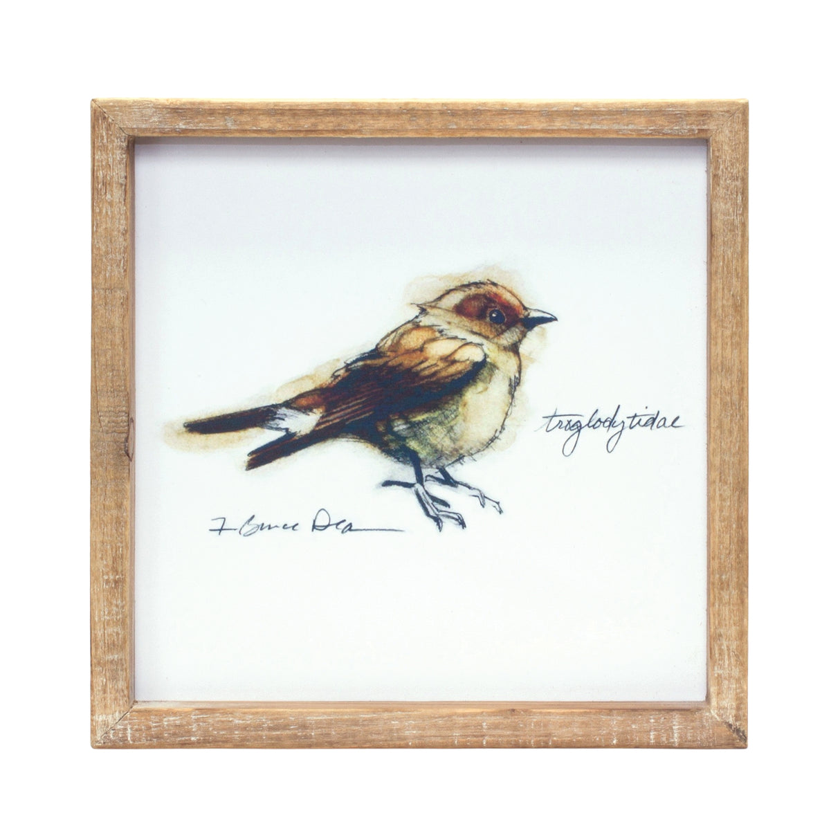 Wood Framed Bird Art Print (Set of 4)