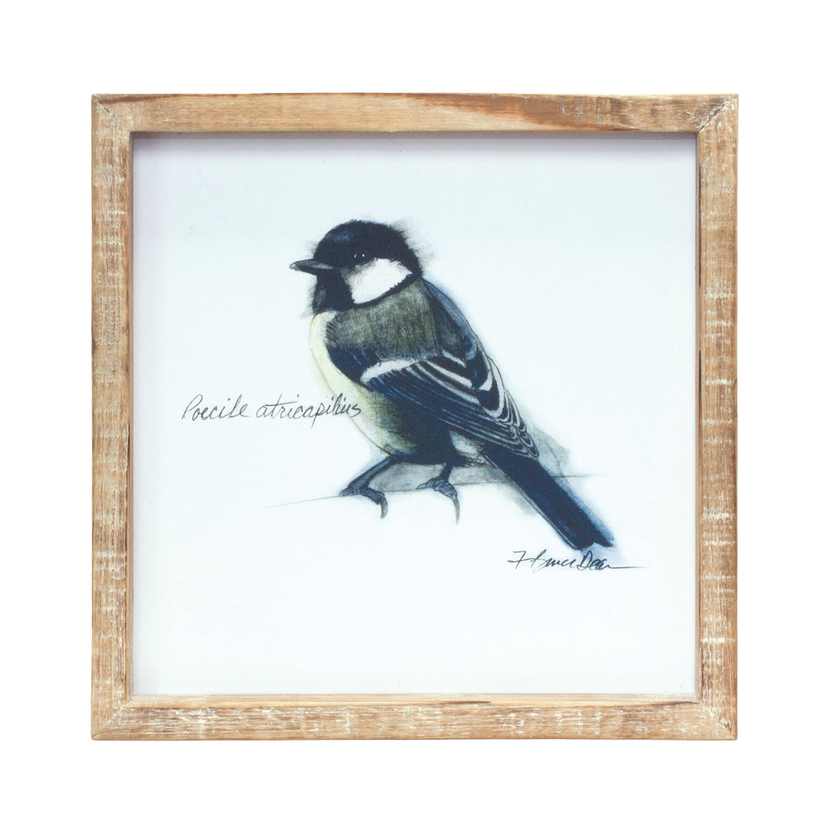 Wood Framed Bird Art Print (Set of 4)