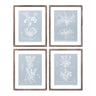 Wood-framed-encyclopedia-floral-outline-under-glass-(set-of-4)-Wall-Art