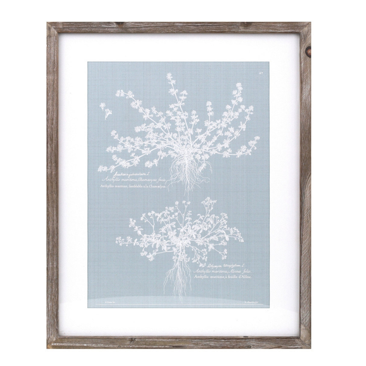 Wood framed encyclopedia floral outline under glass (set of 4)