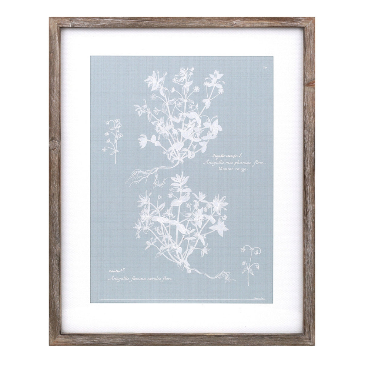 Wood framed encyclopedia floral outline under glass (set of 4)