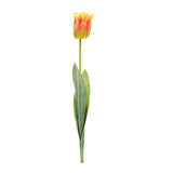 Tulip-floral-stem-(set-of-6)-Floral-&-Greenery