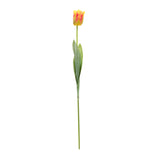 Tulip floral stem (set of 6)