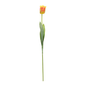 Tulip floral stem (set of 6)