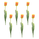 Tulip floral stem (set of 6)