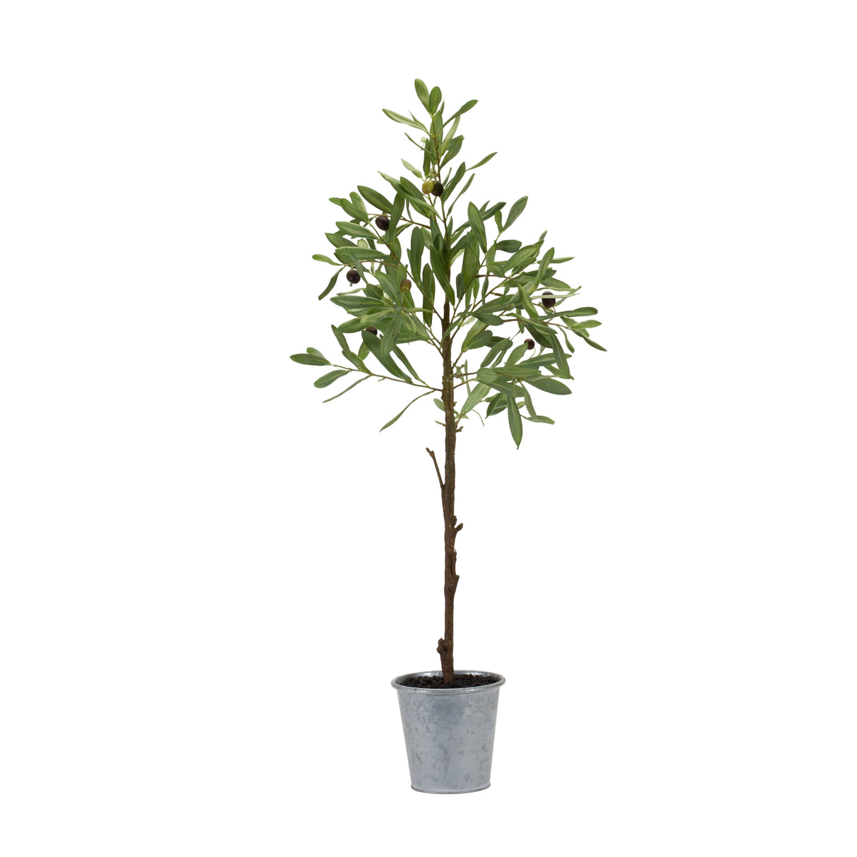 Olive leaf silk tree with tin pot 31.5"h