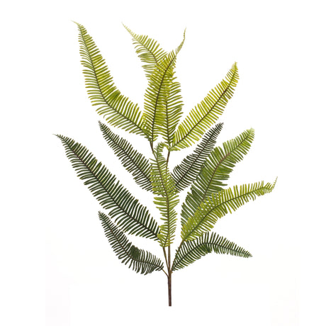 Varigated fern spray (set of 6)