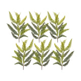 Varigated fern spray (set of 6)