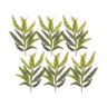 Varigated fern spray (set of 6)