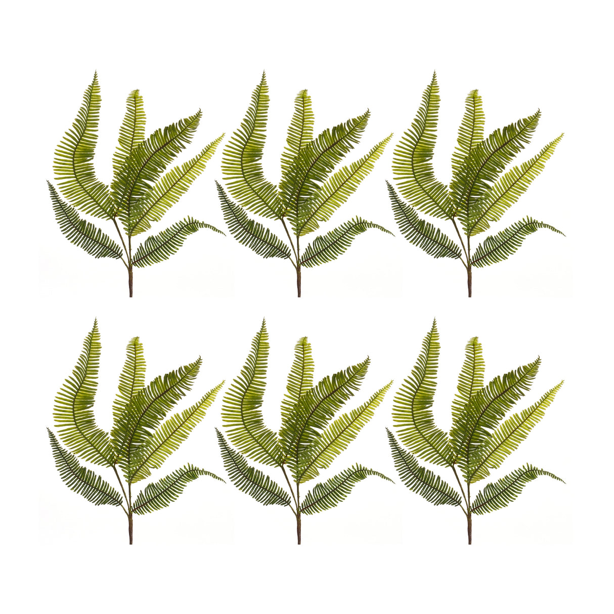 Varigated fern foliage spray (set of 6)