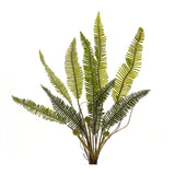 Varigated fern foliage bush (set of 6)