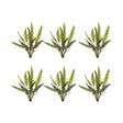 Varigated-fern-foliage-bush-(set-of-6)-Artificial-Flowering-Plants
