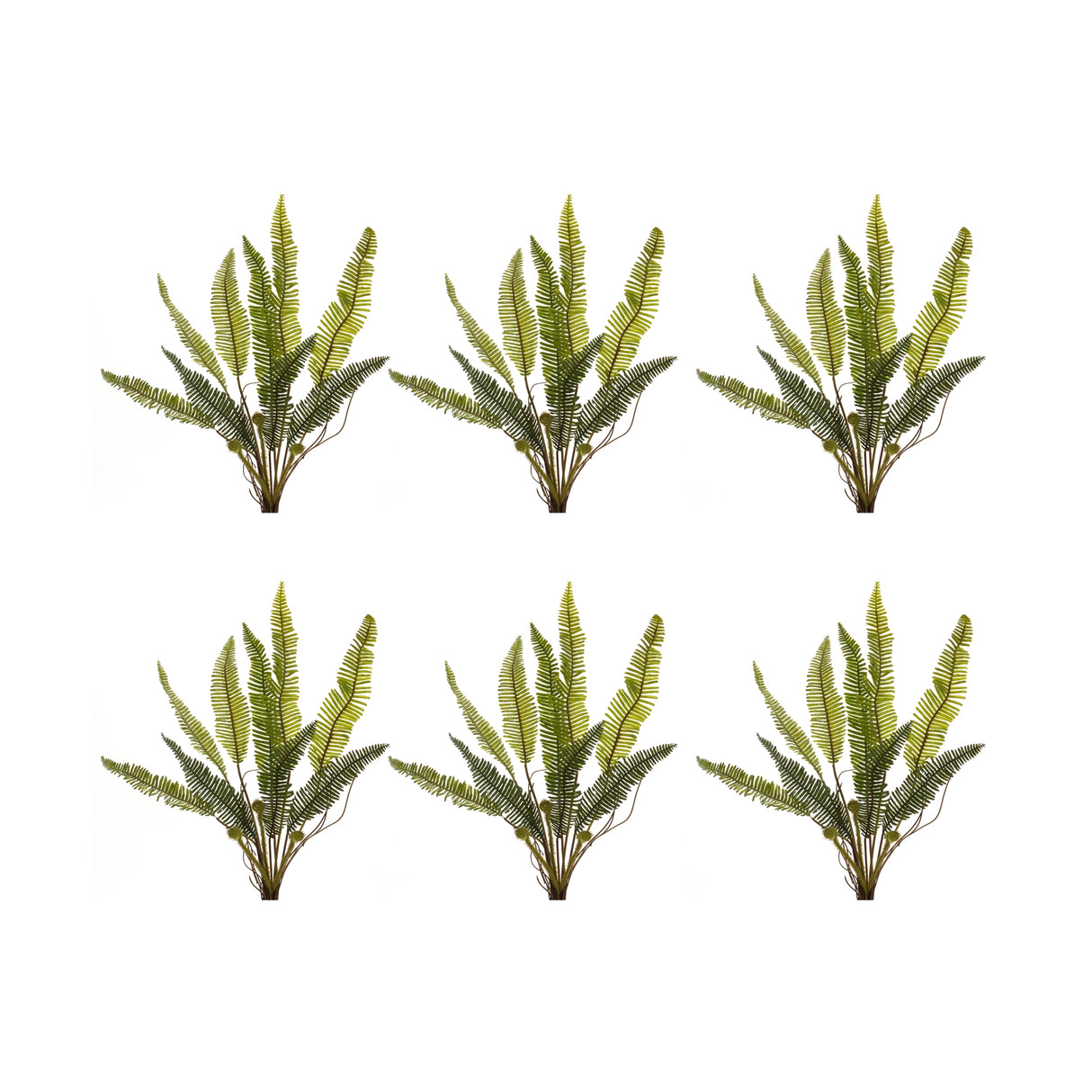 Varigated fern foliage bush (set of 6)
