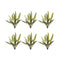 Varigated-fern-foliage-bush-(set-of-6)-Artificial-Flowering-Plants