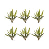 Varigated fern foliage bush (set of 6)