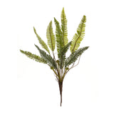 Varigated fern foliage bush (set of 6)