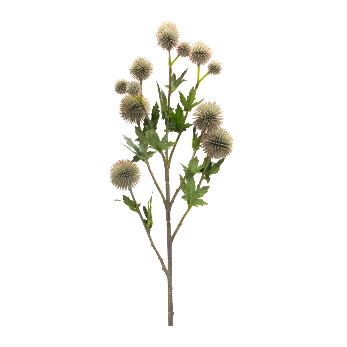 Sage allium floral spray (set of 6)