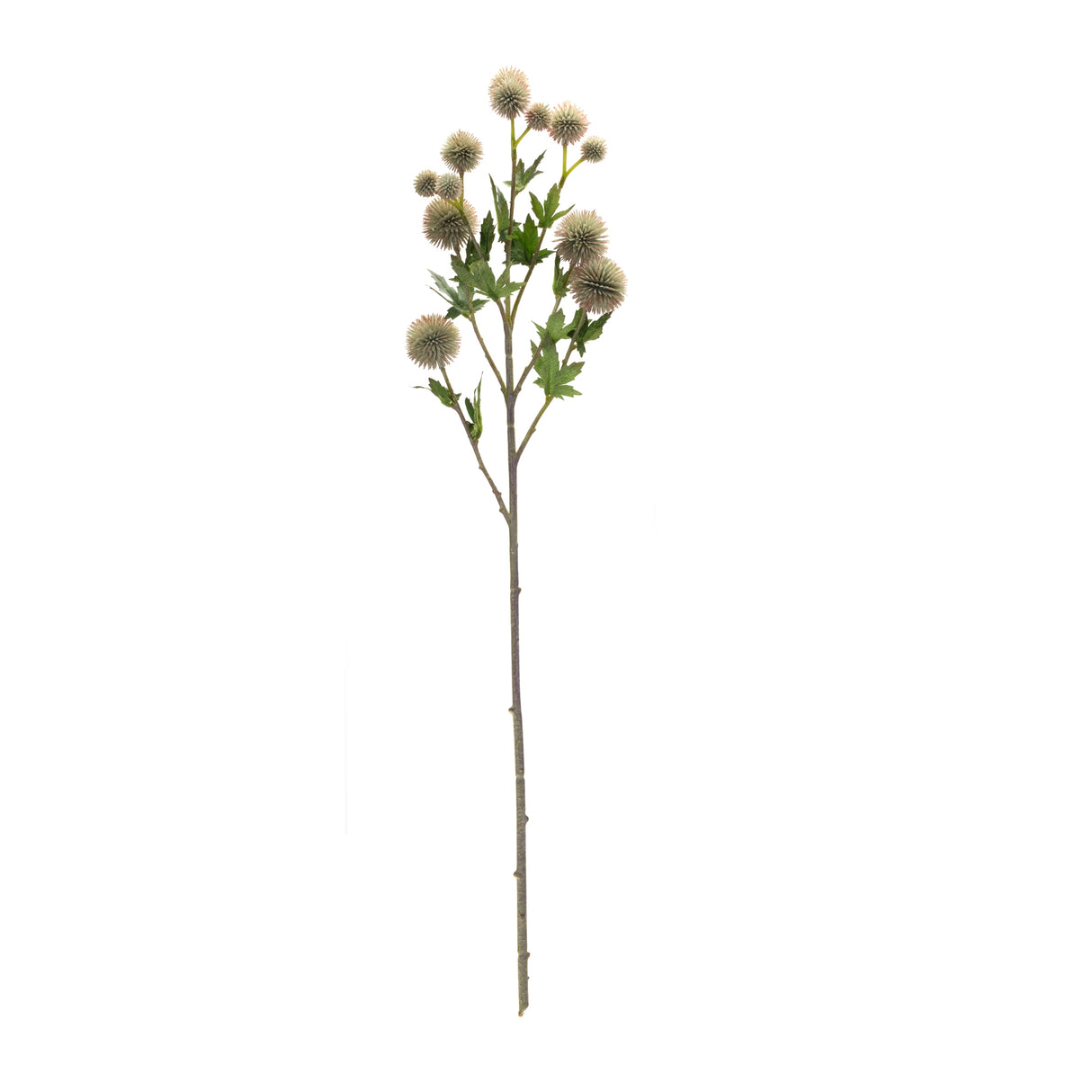 Sage allium floral spray (set of 6)