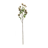 Sage allium floral spray (set of 6)