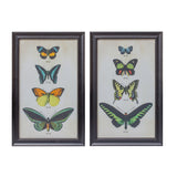 Framed-Encyclopedia-Butterfly-Print-Under-Glass-(Set-of-2)-Wall-Art