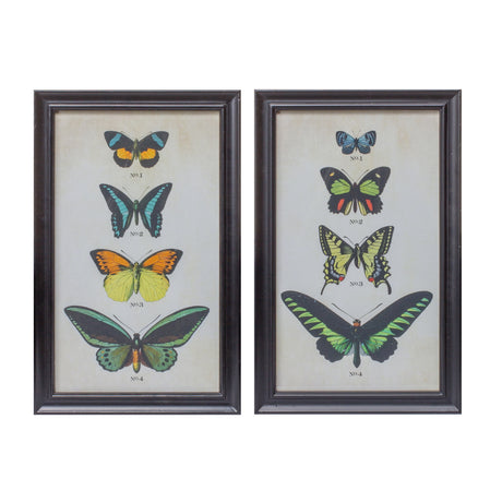 Framed-Encyclopedia-Butterfly-Print-Under-Glass-(Set-of-2)-Wall-Art