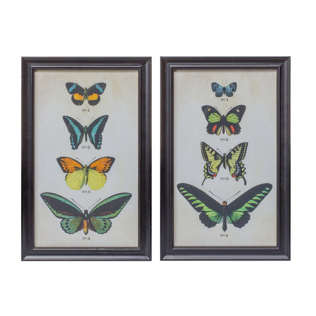 Framed-Encyclopedia-Butterfly-Print-Under-Glass-(Set-of-2)-Wall-Art