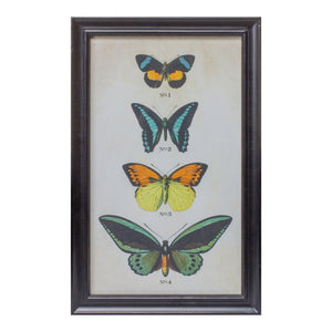 Framed Encyclopedia Butterfly Print Under Glass (Set of 2)