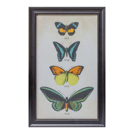 Framed Encyclopedia Butterfly Print Under Glass (Set of 2)