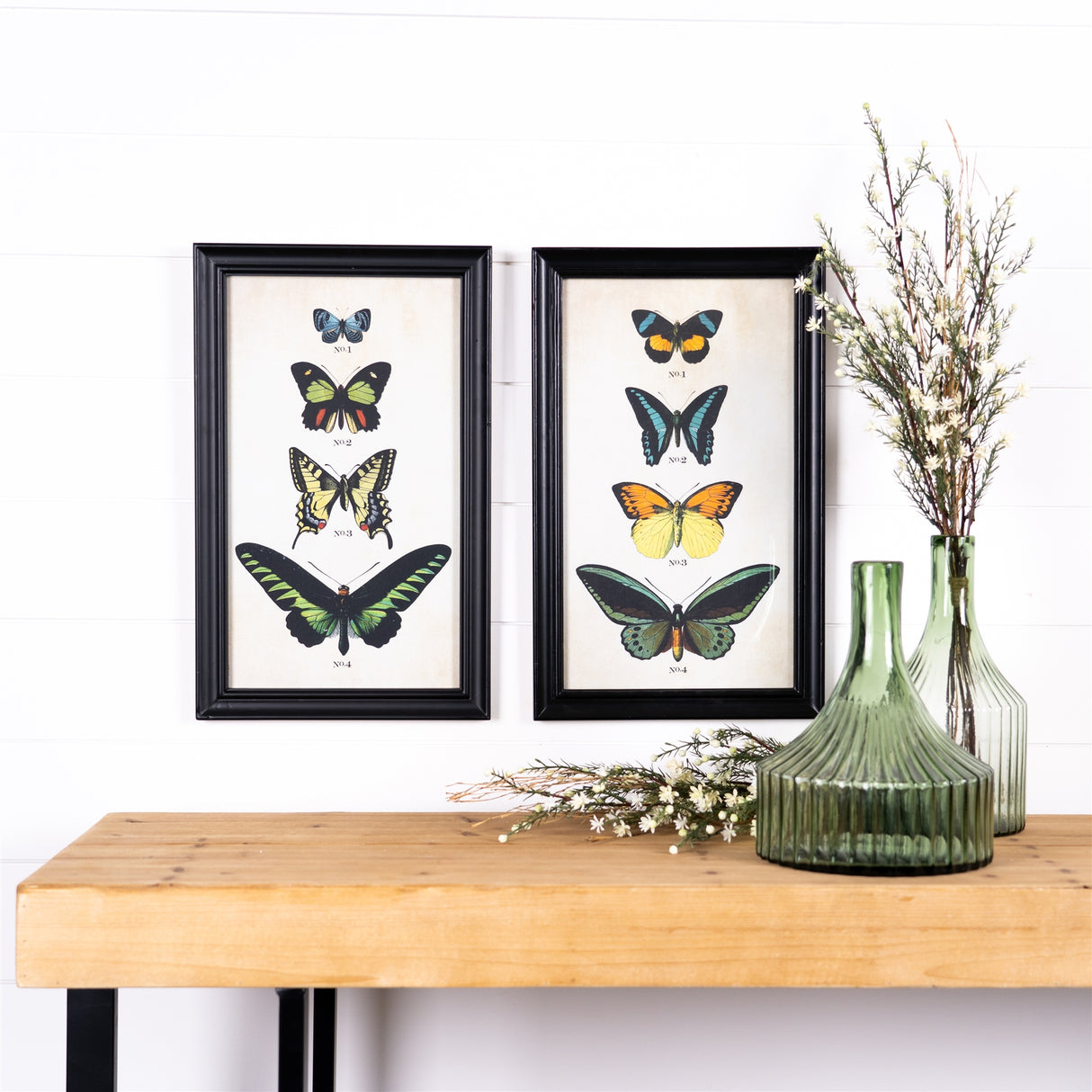 Framed Encyclopedia Butterfly Print Under Glass (Set of 2)