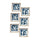 Wood-Framed-Floral-Outline-Print-(Set-of-6)-Wall-Art