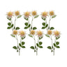 Pink dahlia flower stem (set of 6)