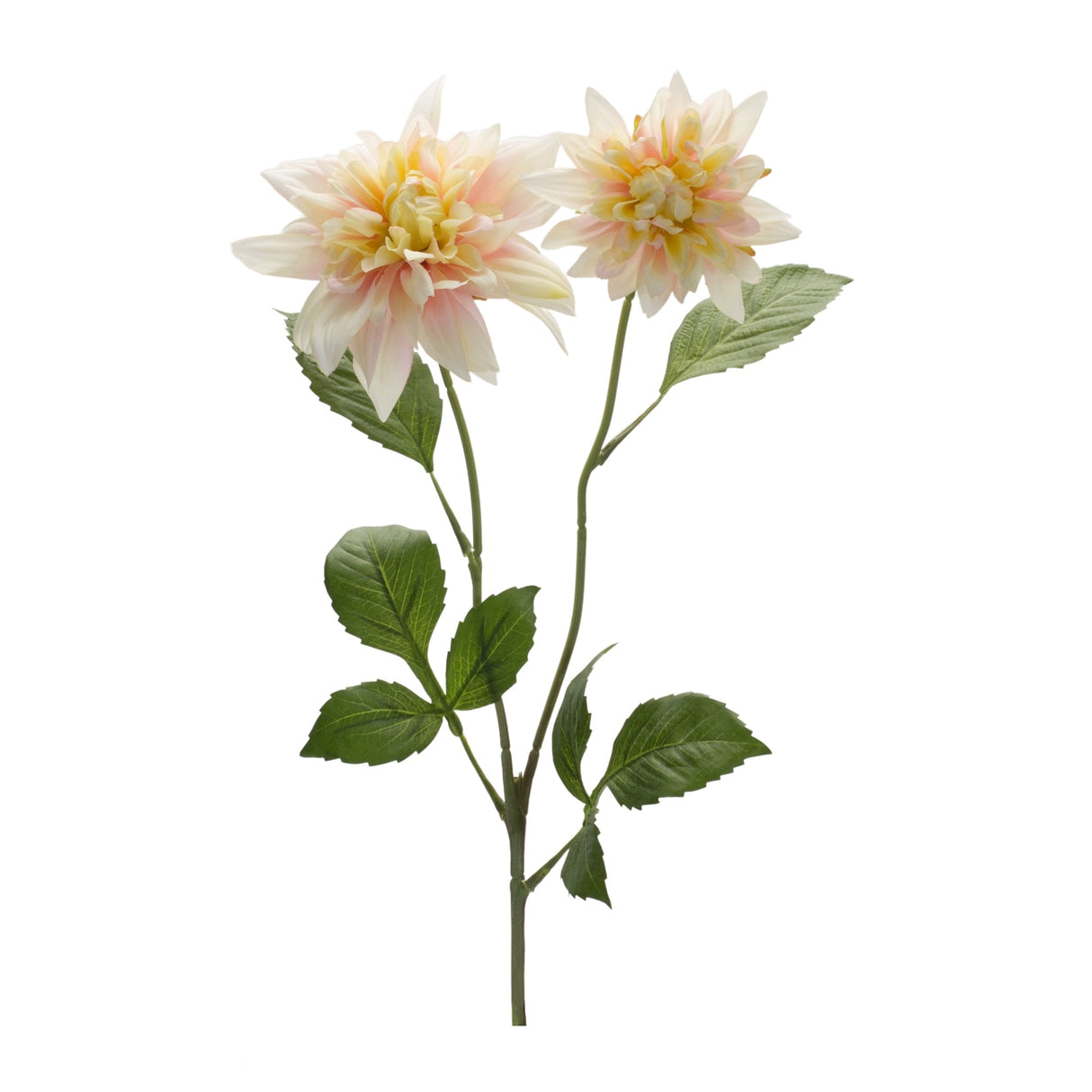 Pink dahlia flower stem (set of 6)
