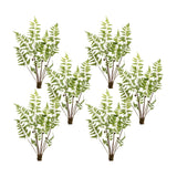 Varigated fern bundle with sprout accents (set of 6)