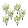 Varigated fern bundle with sprout accents (set of 6)