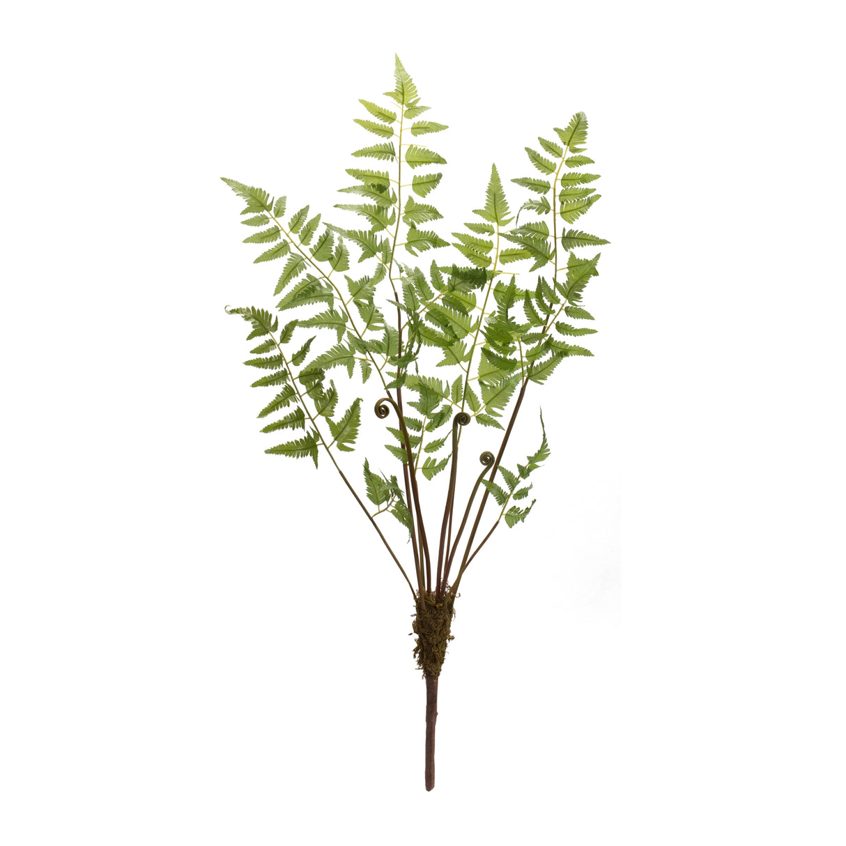 Varigated fern bundle with sprout accents (set of 6)