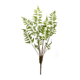 Varigated fern bundle with sprout accents (set of 6)
