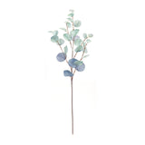 Blue silver dollar eucalyptus leaf spray (set of 6)