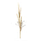 Foxtail-Grass-Spray-(Set-of-2)-Artificial-Flowering-Plants