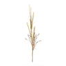 Foxtail Grass Spray (Set of 2)