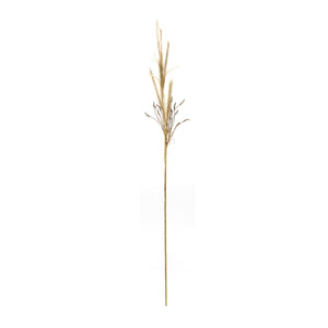 Foxtail Grass Spray (Set of 2)