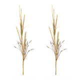 Foxtail Grass Spray (Set of 2)