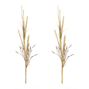 Foxtail Grass Spray (Set of 2)