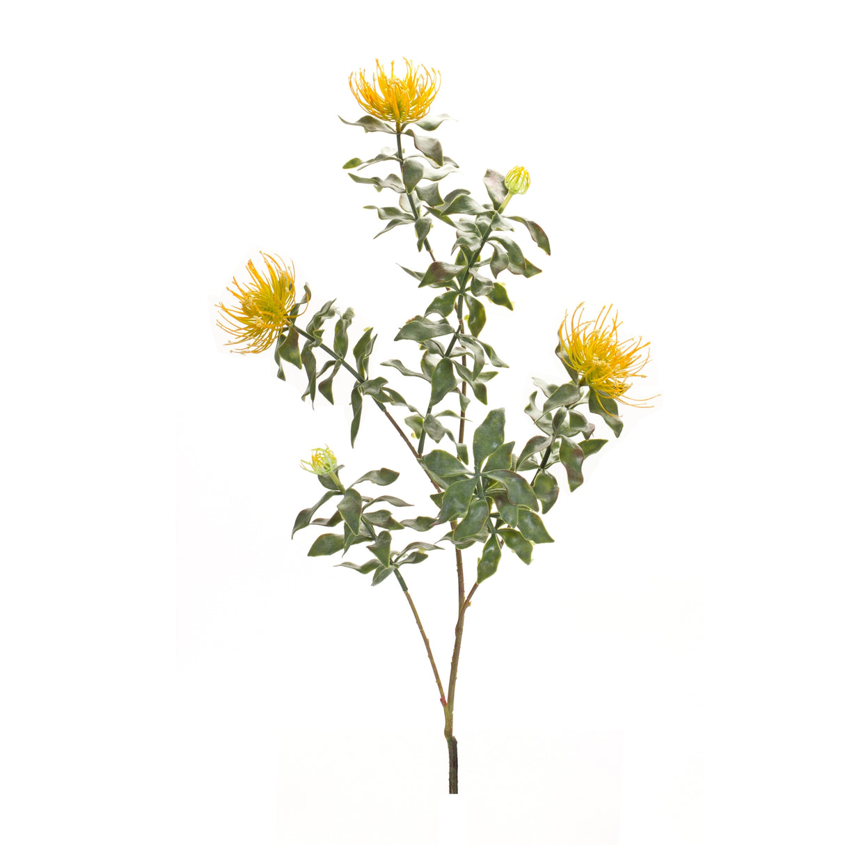 Yellow flocked protea spray (set of 6)