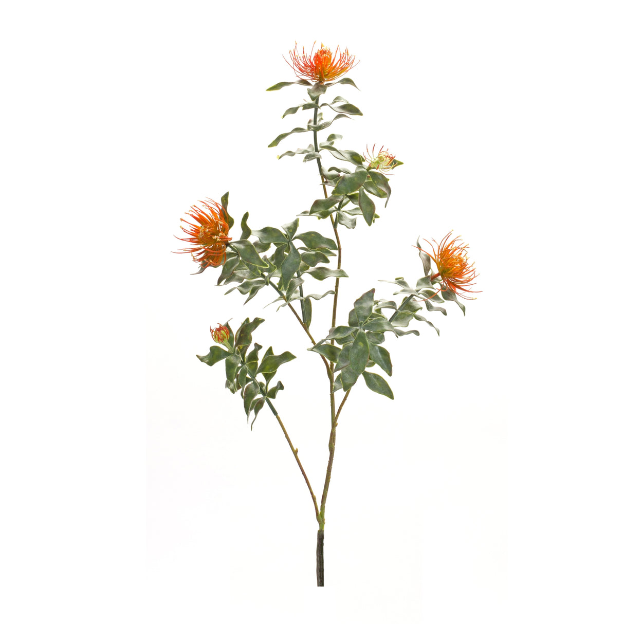 Orange flocked protea spray (set of 6)