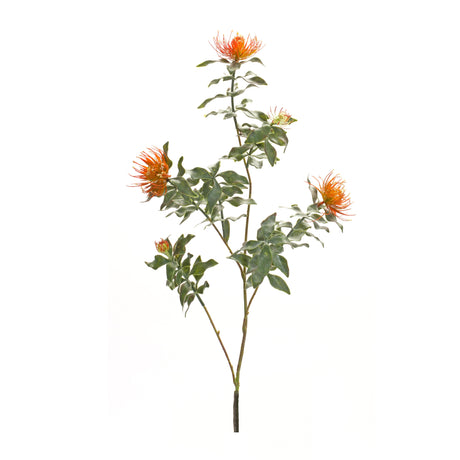 Orange flocked protea spray (set of 6)