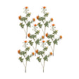 Orange-flocked-protea-spray-(set-of-6)-Artificial-Flowering-Plants