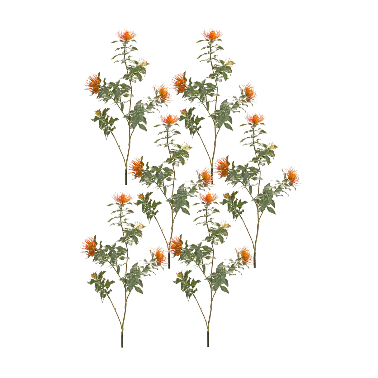 Orange flocked protea spray (set of 6)