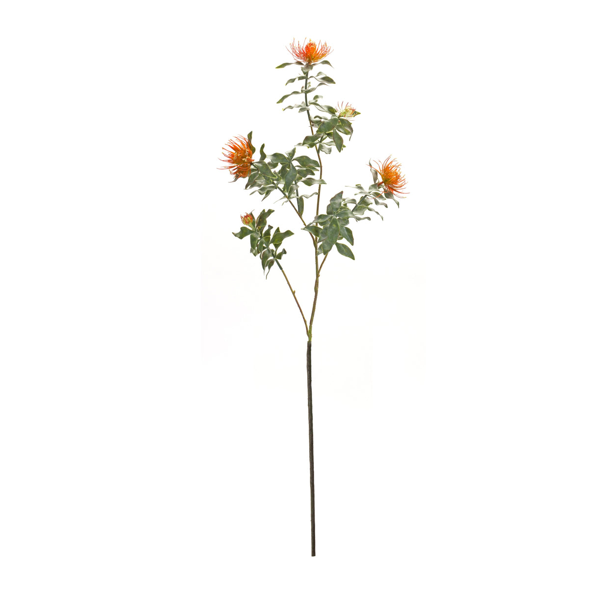 Orange flocked protea spray (set of 6)