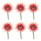 Gerbera Daisy Floral Stem (Set of 6)