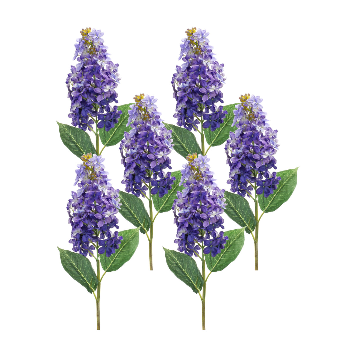 Varigated purple lilac flower stem (set of 6)